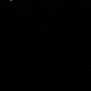 Meet your Posher, Harry